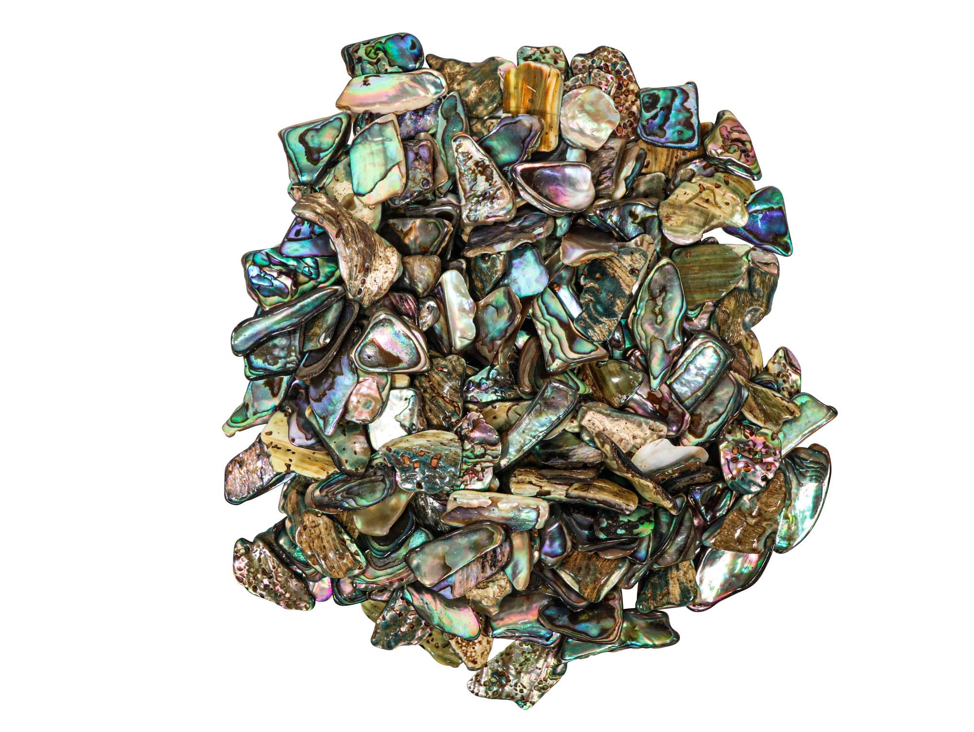 Highly Polished Paua Shell Pieces: Small 15-25mm (1/4 lb) 