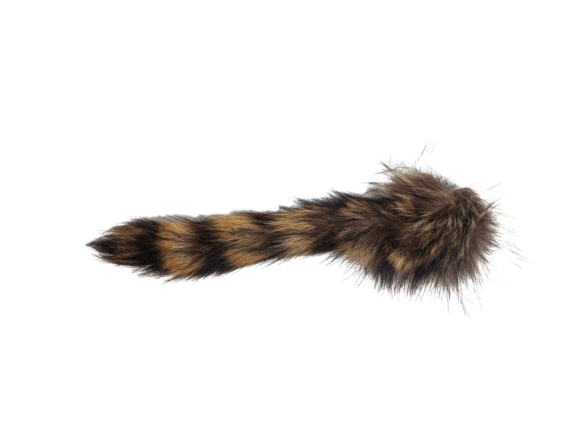 Natural Raccoon Tail: Jumbo - 18-11-N-J (L1)