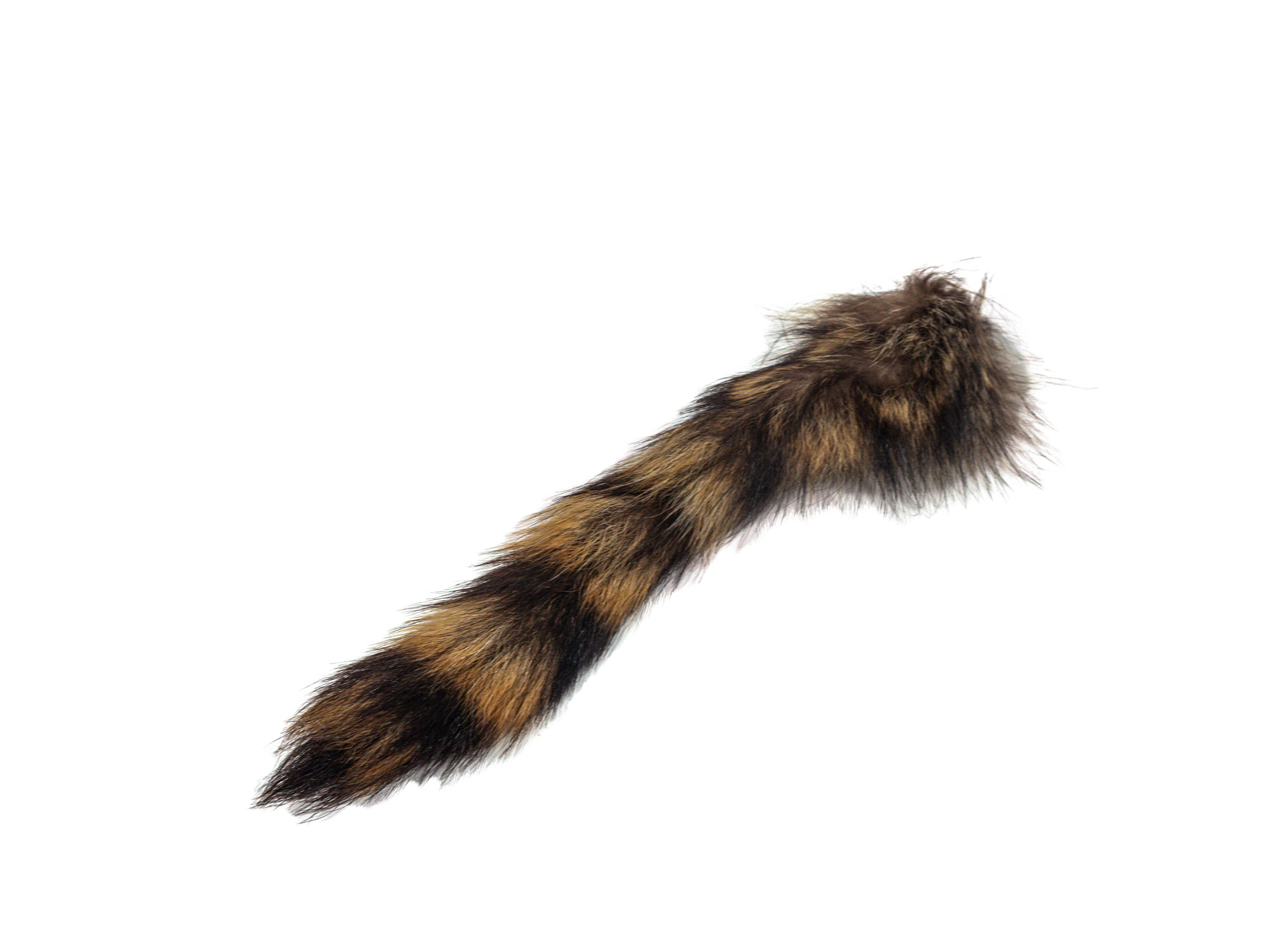 Natural Raccoon Tail: Jumbo - 18-11-N-J (L1)