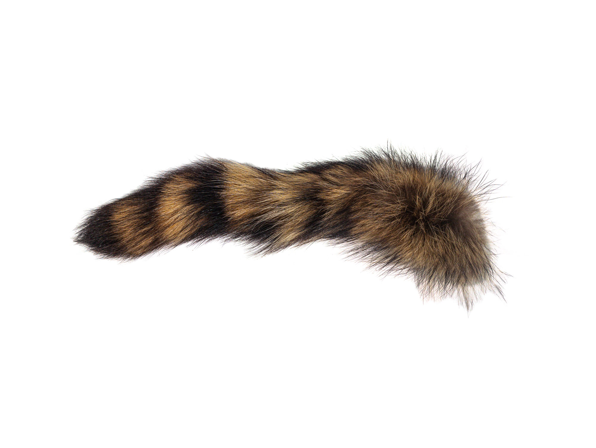 Natural Raccoon Tail: Extra Large - 18-11-N-XL (L1)