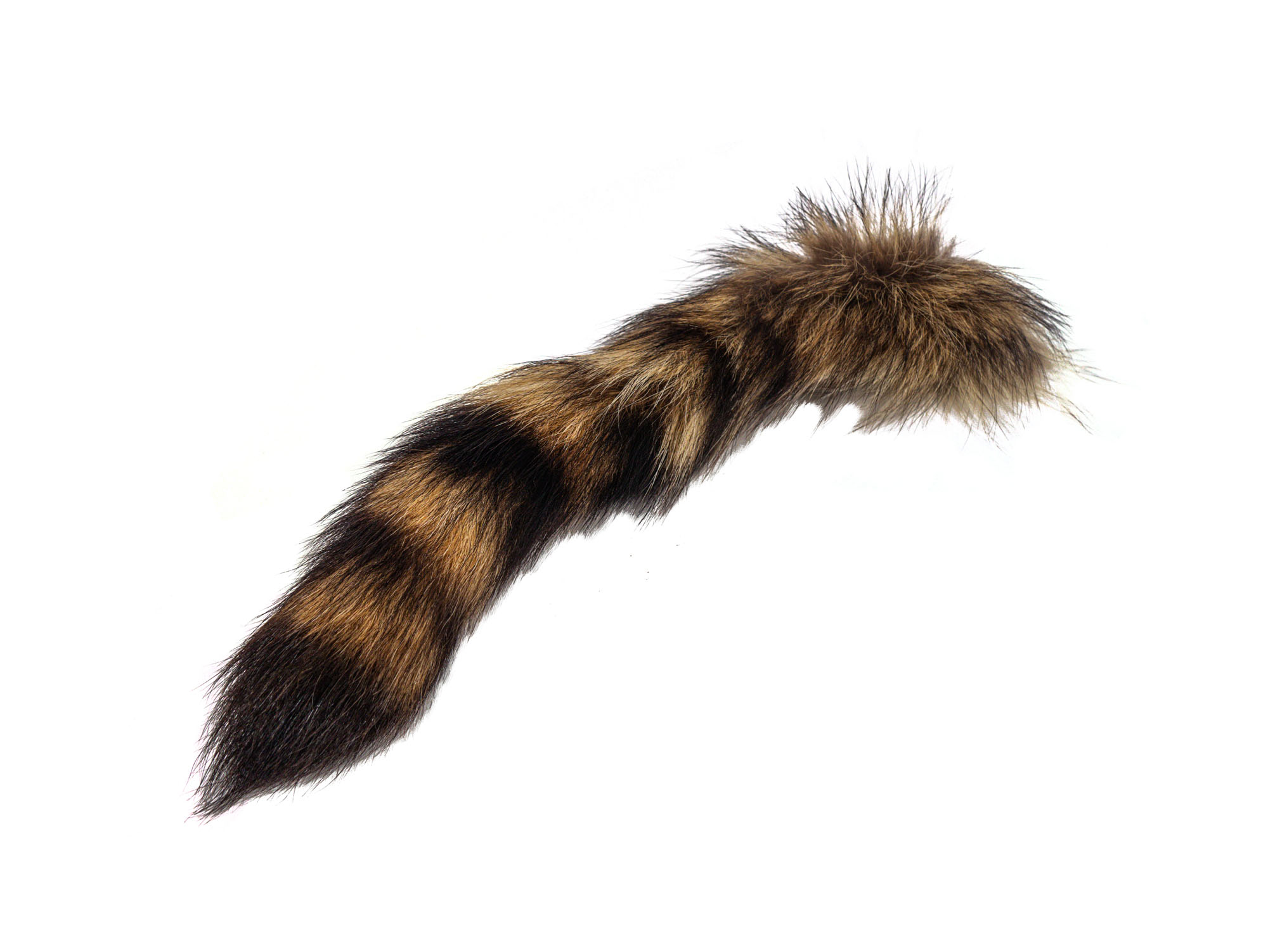 Natural Raccoon Tail: Extra Large - 18-11-N-XL (L1)