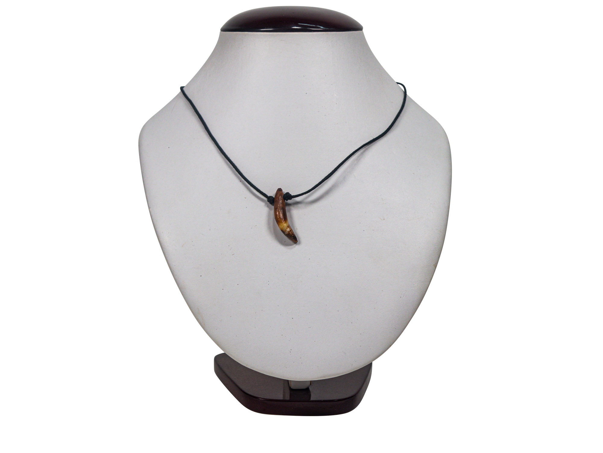 Fossil Seal Tooth Necklace - 373 (N8)