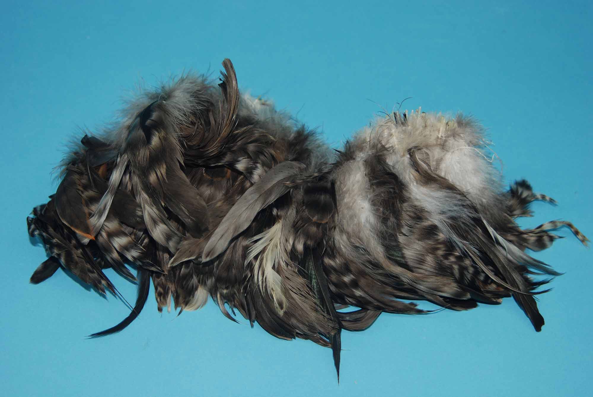 Chinchilla Coque Rooster Tail Feathers (lb) - 571-07 (A6)