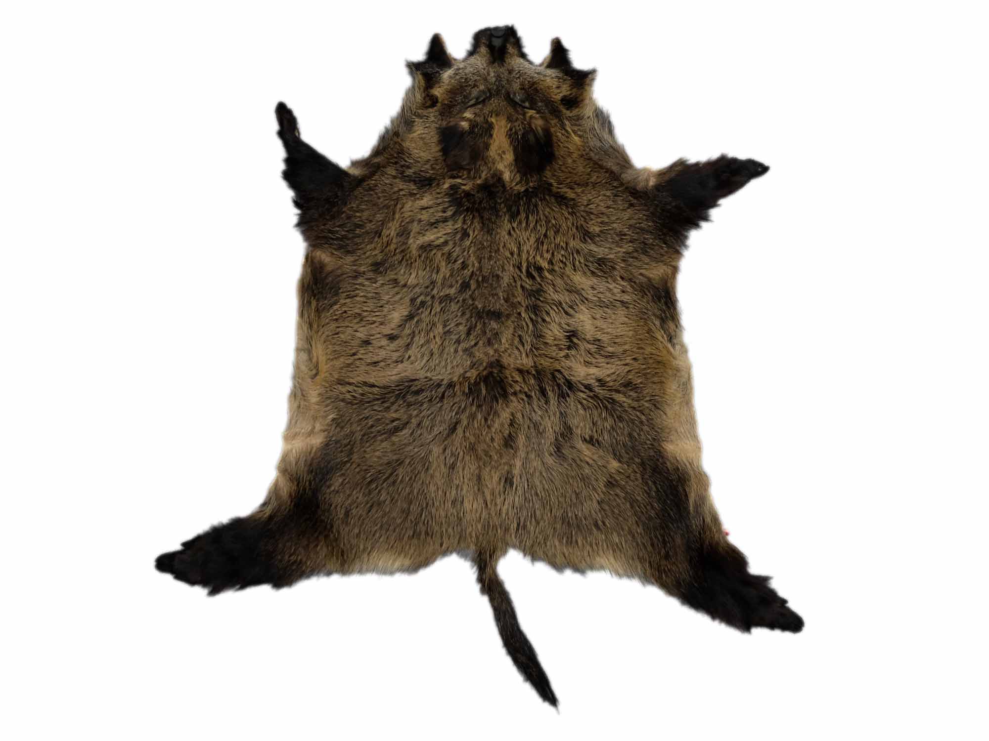 Wild Boar Skin: Extra Large 