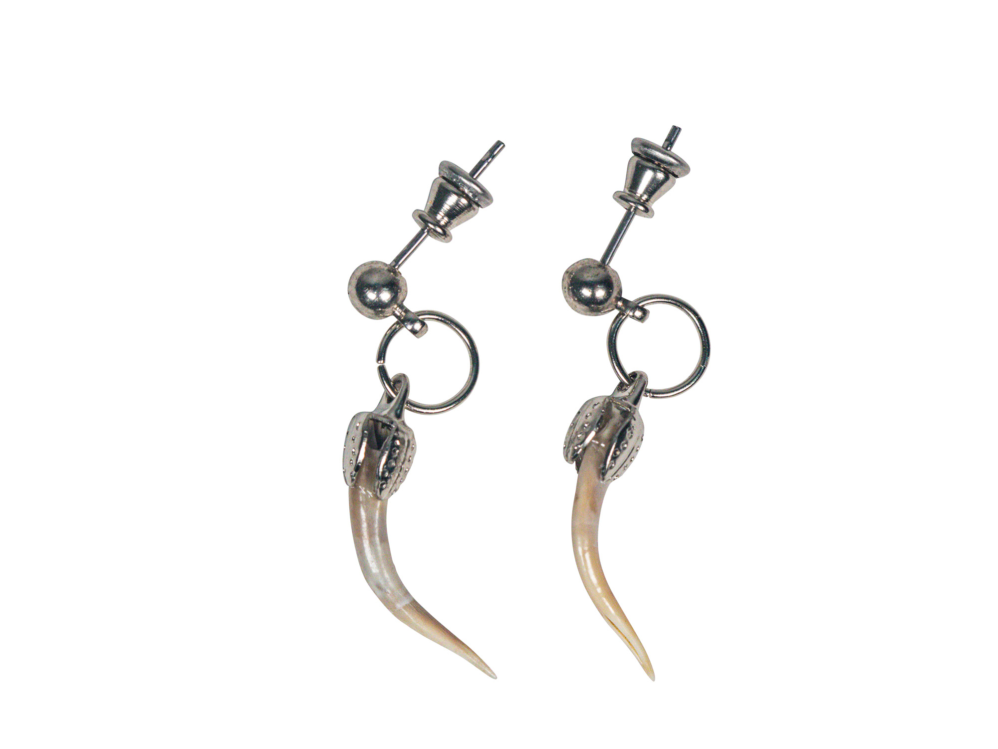 Real Rattlesnake Fang Earrings: Silver-Tone (Pair) 