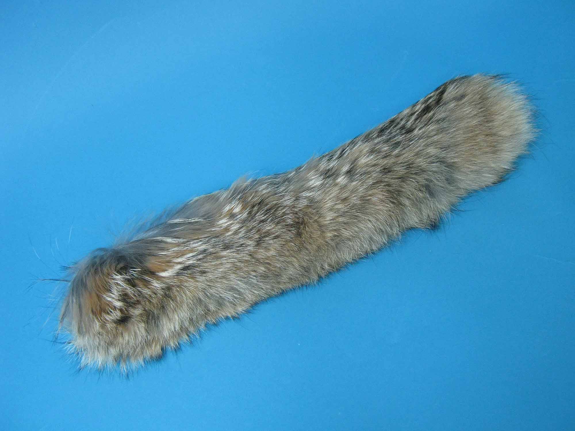 Coyote Fur Collar: 2" by 16" 