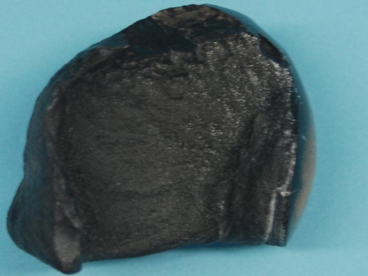 Fossil Whale Ear Bone: Gallery Item 