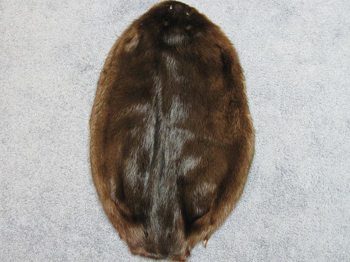 Beaver Skin: Natural Black: Gallery Item 
