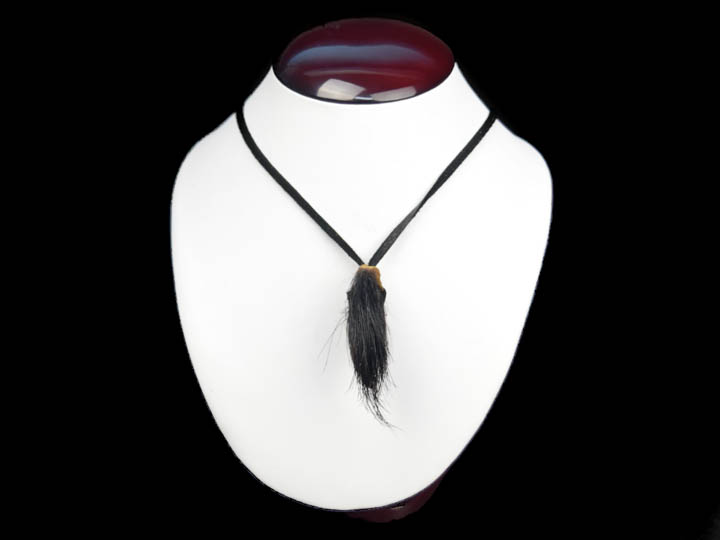 Real Hair-On Black Bear 1-Claw Necklace: Gallery Item 