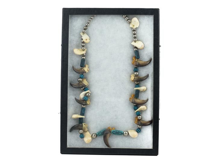 Real One-of-a-Kind Black Bear Claw and Elk Tooth Necklace: Gallery Item 