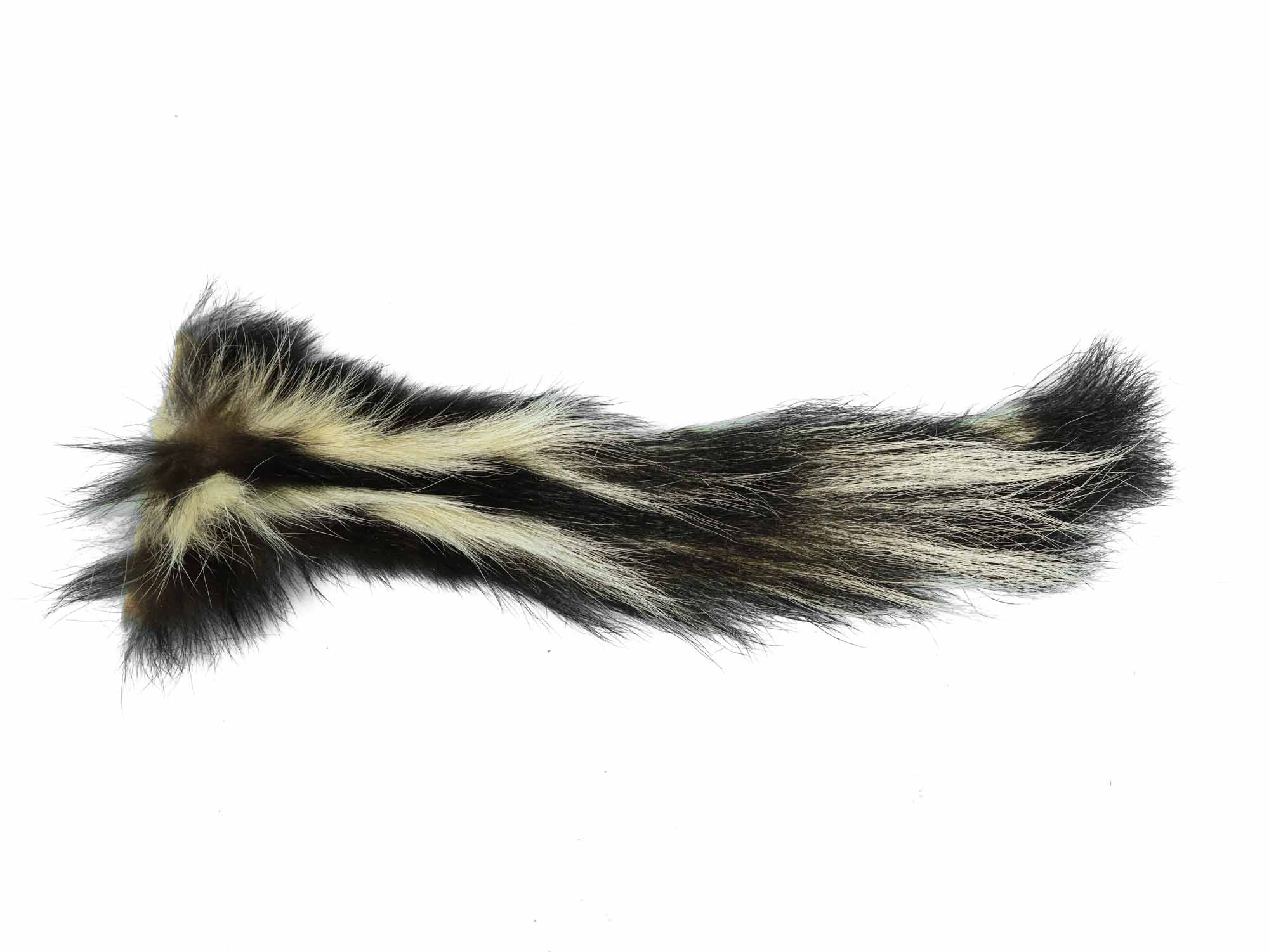 Real Tanned Skunk Tail: Extra Extra Large: Gallery Item 