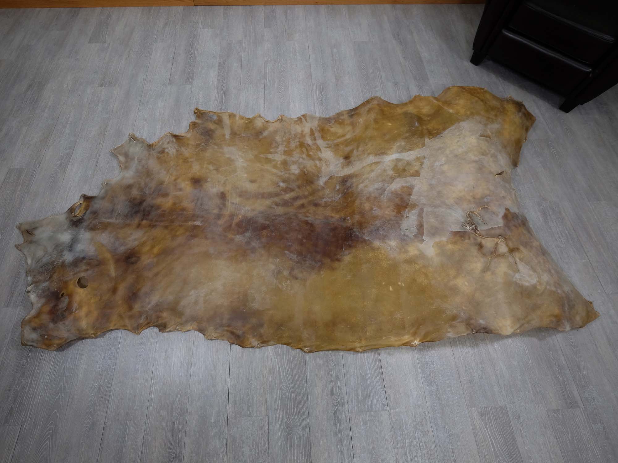 Cow Rawhide: Full Hide: Thick: Natural: Gallery Item 