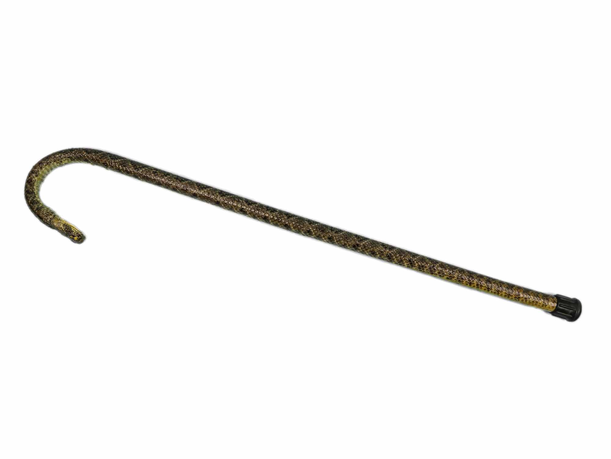 Real Rattlesnake Cane: Closed Mouth: Gallery Item 