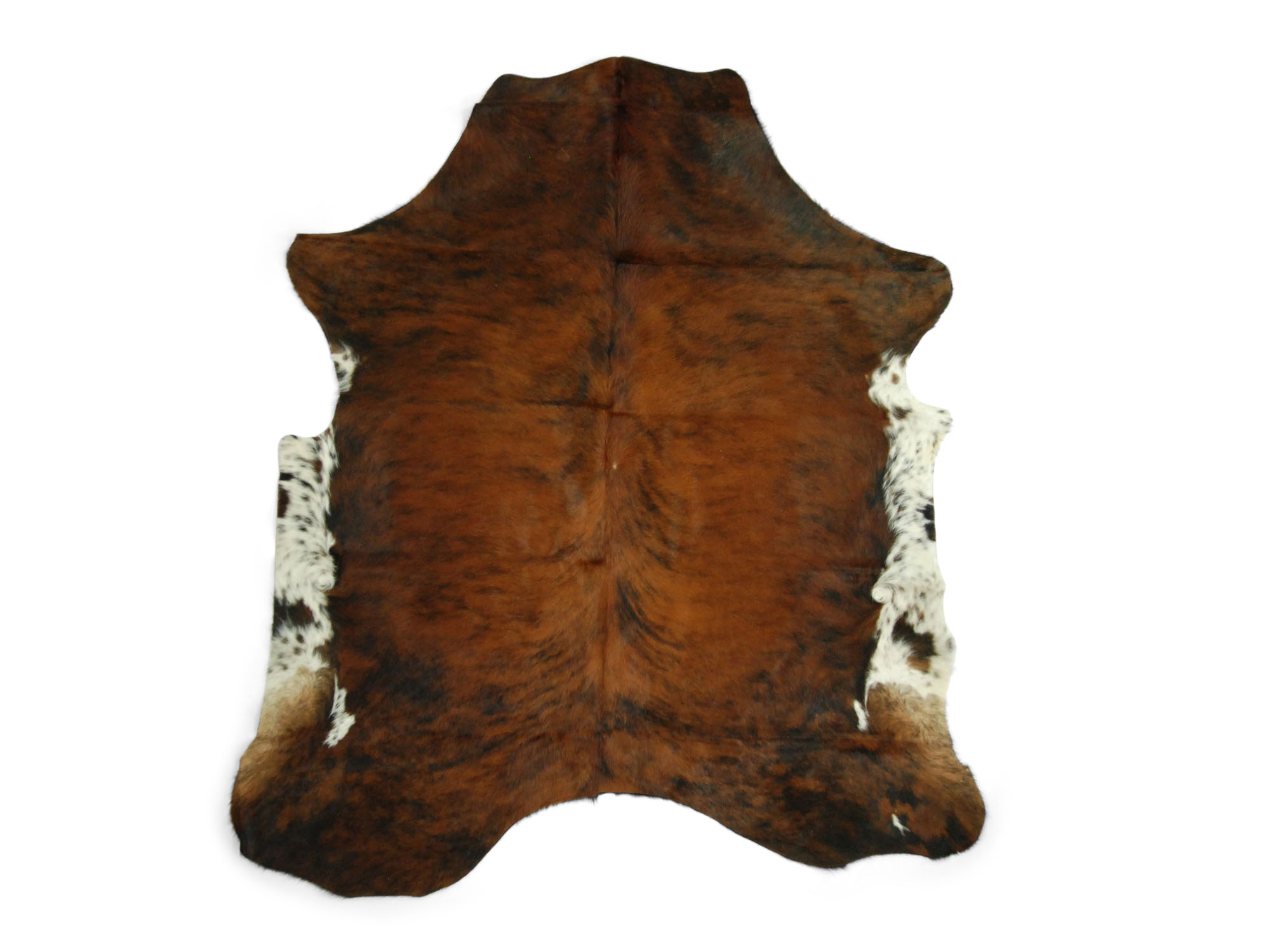 Cow Hide: Small: Gallery Item 