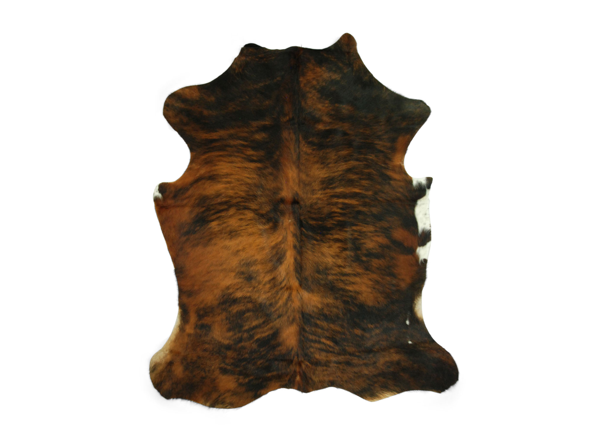Cow Hide: Small: Gallery Item 