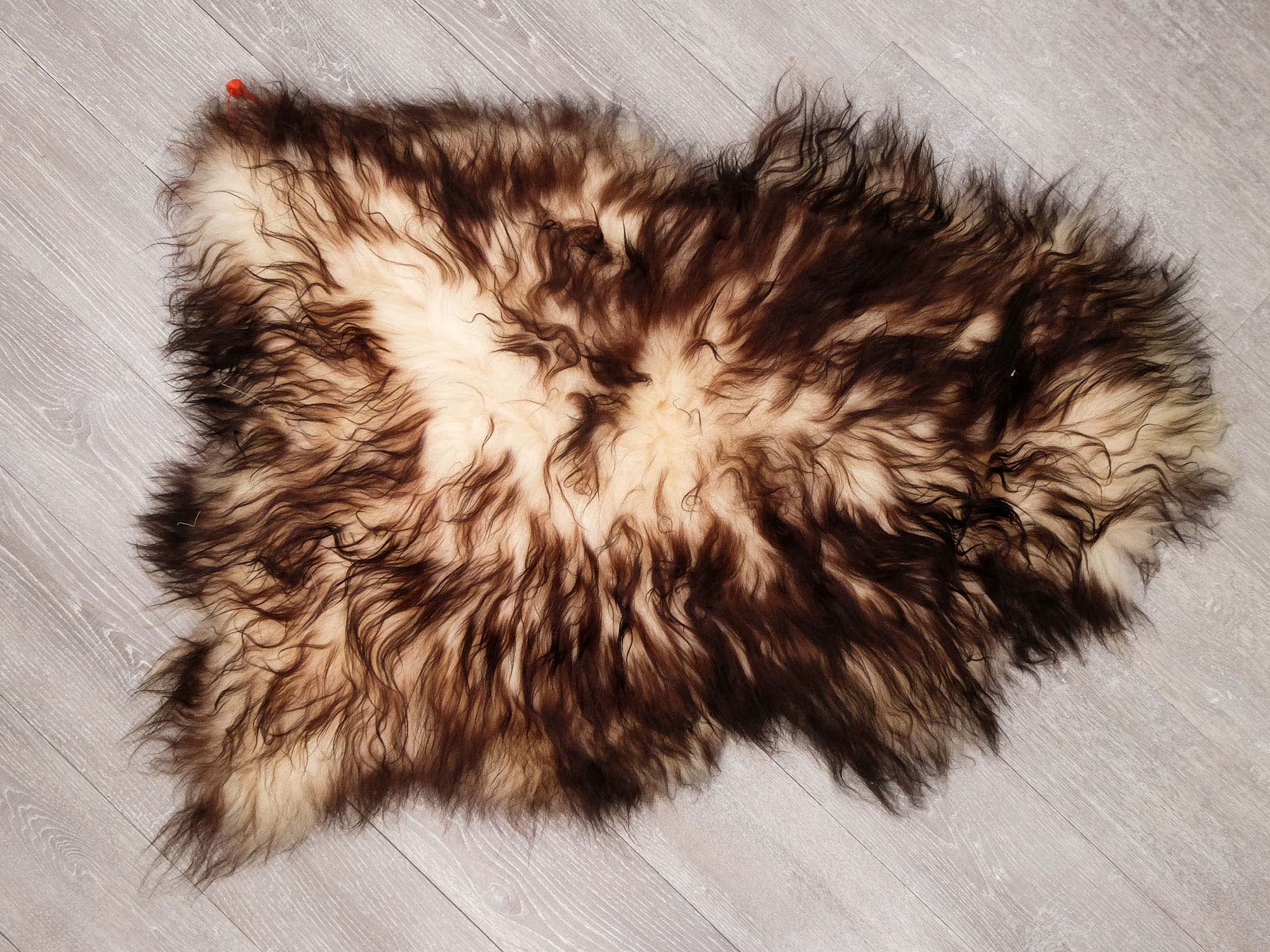 Dyed Icelandic Sheepskin: Blacky Brown Tipped: 90-100cm or 36" to 40": Gallery Item 