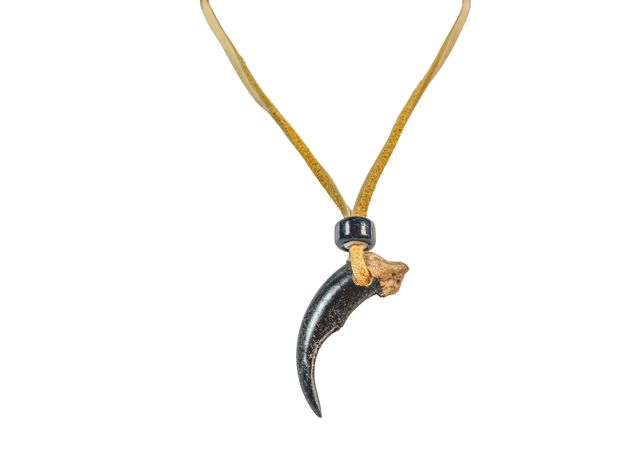Realistic Iroquois Wolf Claw Necklace: 1-claw: Gallery Item 