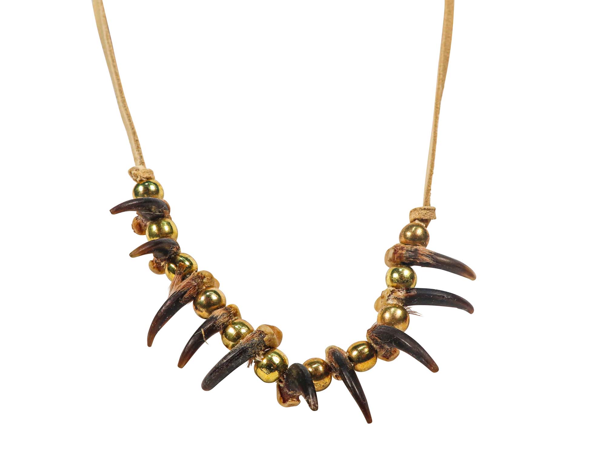Real Iroquois Coyote Claw Necklace: 10-Claw: Gallery Item 