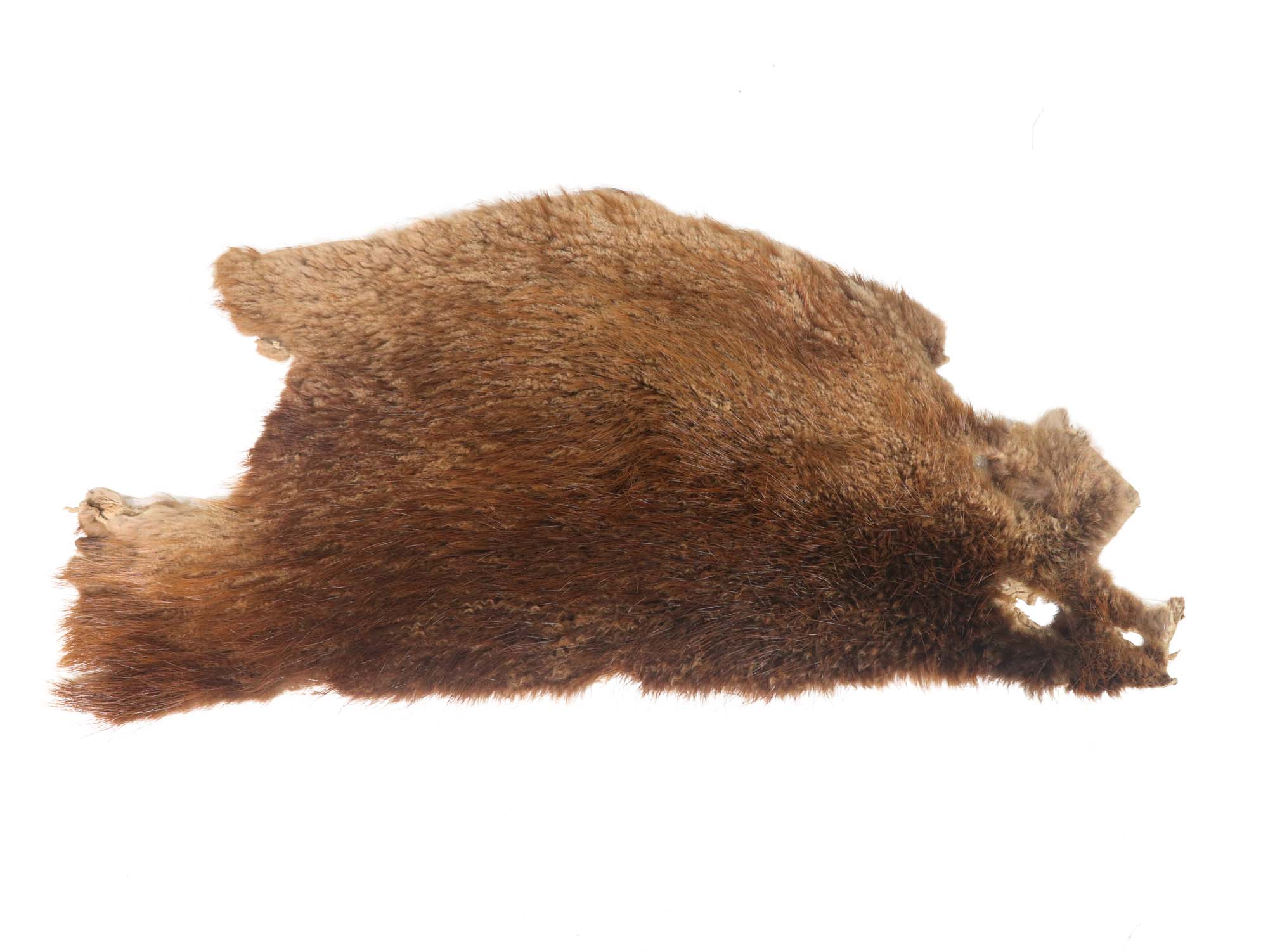 Partial Sheared Beaver Skin: Bleached: Gallery Item 