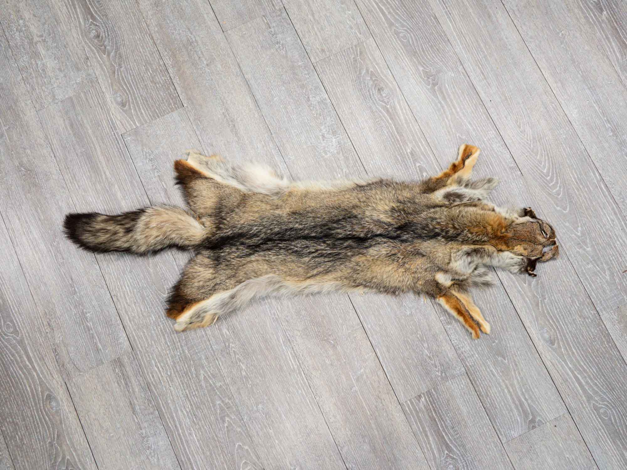 Argentine Gray Fox Skin: Gallery Item - 180-00-G6007 (9UK8)