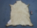 Roe Deer Skin: Assorted - 1006-AS (Y2KRF)