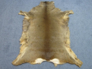 Roe Deer Skin: Assorted 