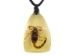 Glow-in-the-Dark Bug Necklace: Scorpion - 1010-NL-201G (Y1IC01)