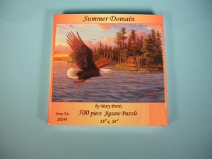 Summer Domain Puzzle 
