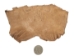 Cane Toad Skin: Brown - 1018-10-BR (Y1XC16)