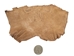 Cane Toad Skin: Brown - 1018-10-BR (Y1X)