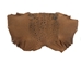 Cane Toad Skin: Brown - 1018-10-BR (Y1X)