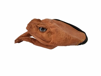 Cane Toad Coin Pouch: Large: Natural Brown 