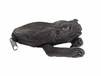 Dyed Cane Toad Coin Pouch: Medium/Large: Black change pouch, change purse, coin pouch, coin purse