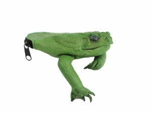 Dyed Cane Toad Coin Pouch: Medium/Large: Emerald Green change pouch, change purse, coin pouch, coin purse
