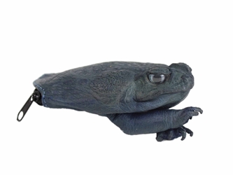 Dyed Cane Toad Coin Pouch: Medium/Large: Navy Blue 