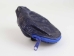 Dyed Cane Toad Coin Pouch: Medium/Large: Royal Blue - 1019-10M-RB (Y2JC02)
