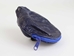 Dyed Cane Toad Coin Pouch: Medium/Large: Royal Blue - 1019-10M-RB (D5)