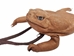 Cane Toad Necklace Pouch - 1019-20-NA (Y2D)
