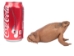 Lucky Cane Toad: Large - 1019-30L-NA (Y2IC06)