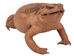 Lucky Cane Toad: Large - 1019-30L-NA (Y2I)