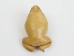Lucky Cane Toad: Small: Golden Yellow - 1019-30S-GY (Y3J)