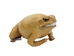 Lucky Cane Toad: Small: Golden Yellow - 1019-30S-GY (Y3J)