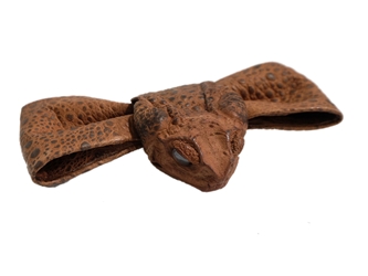 Cane Toad Bowtie 