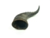 Blesbok Horn: Large - 1026-LG (Y3KRB)