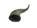 Blesbok Horn: Large - 1026-LG (Y1F)