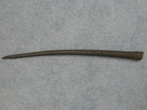 Gemsbok (Oryx Horns) Horn: Large 