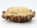 Moose Antler Crown: Medium (~3" to 4") - 1042-MD (Y1MC13)