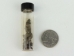 Meteorite Fragments in a Vial - 1062-10 (Y2HC11)