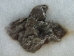Boxed Meteorite: 1-Pack - 1063-10 (Y2HC18)