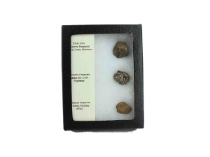 Boxed Meteorite: 3-Pack 